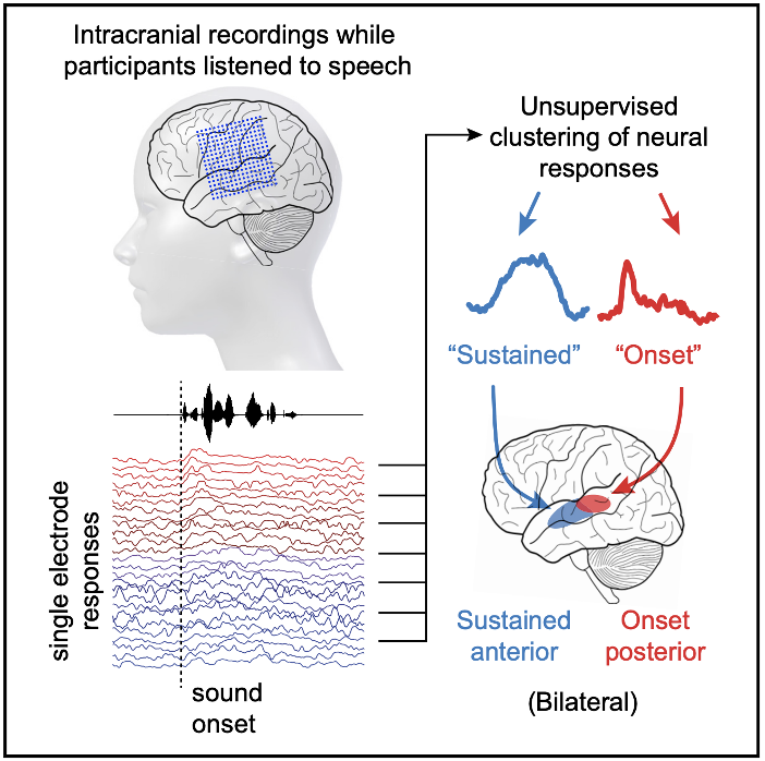Figure reproduced from Hamilton et al. 2018