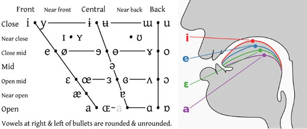 IPA vowel chart positions
