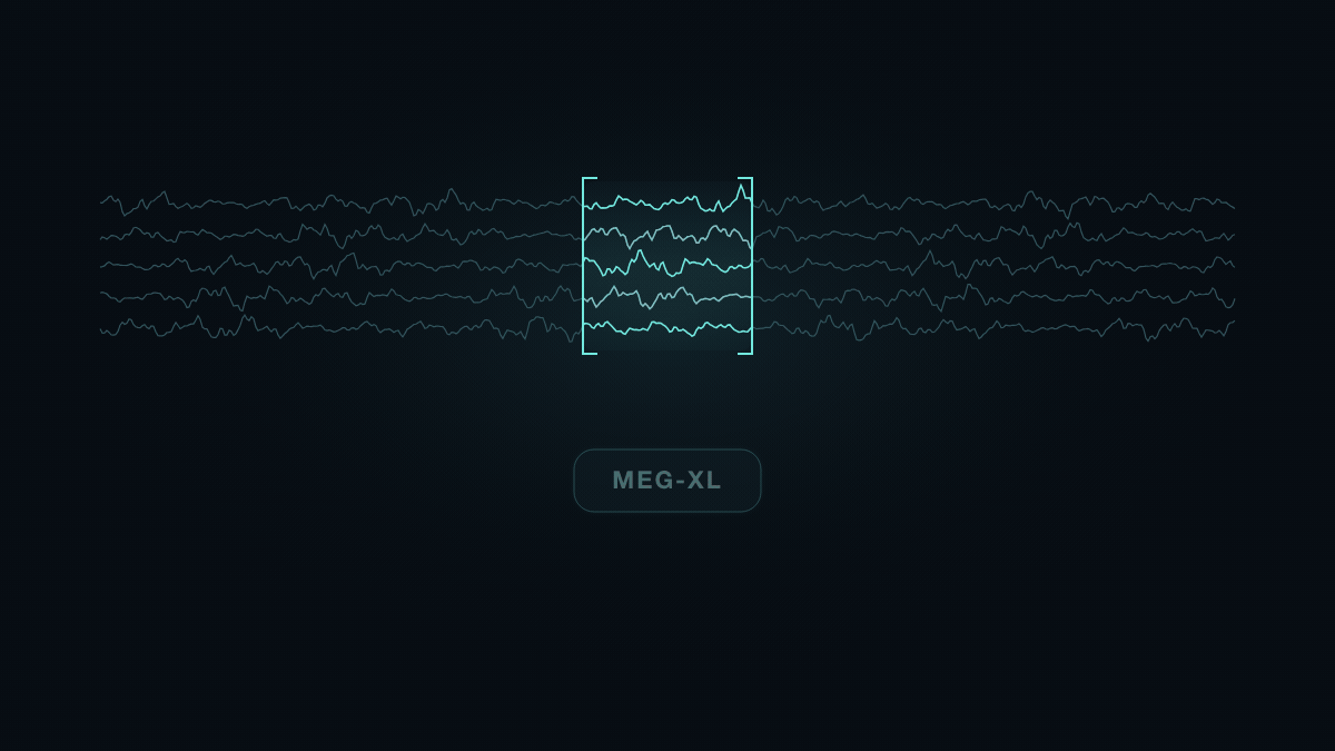 MEG-XL animation.